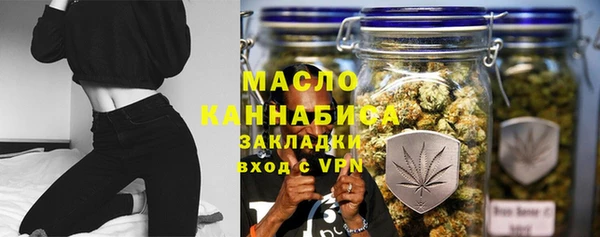 СК Алексин