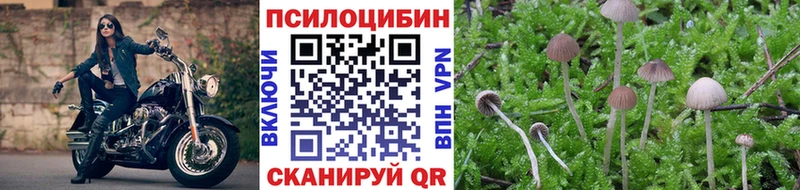 Галлюциногенные грибы MAGIC MUSHROOMS  hydra ONION  Черепаново 